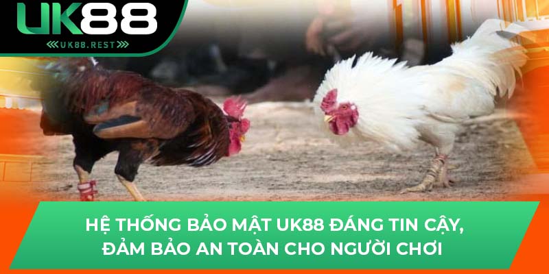 Trải Nghiệm Đá Gà C1 Đỉnh Cao Ngay Tại Uk88 Hôm Nay 2 Hệ thống bảo mật uk88 đáng tin cậy, đảm bảo an toàn cho người chơi