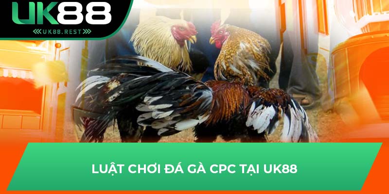 Đá Gà CPC - Cơ Hội Chiến Thắng Cùng Các Chiến Kê Tại UK88 3 Luật chơi đá gà CPC tại UK88