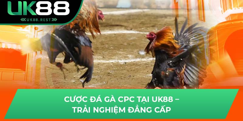 Đá Gà CPC - Cơ Hội Chiến Thắng Cùng Các Chiến Kê Tại UK88 4 Cược đá gà CPC tại UK88 – Trải nghiệm đẳng cấp