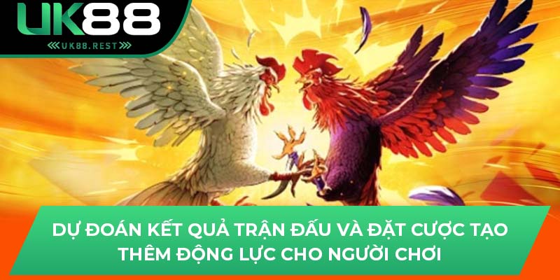 Tìm Hiểu Đá Gà Cựa Dao An Toàn, Hấp Dẫn Tại Uk88 2 Dự đoán kết quả trận đấu và đặt cược tạo thêm động lực cho người chơi