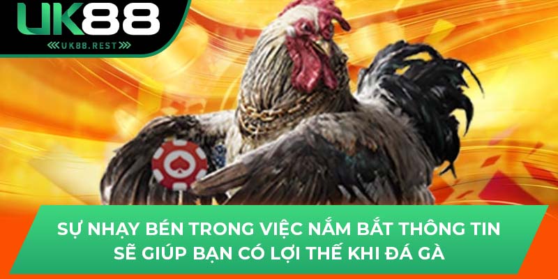 Tìm Hiểu Đá Gà Cựa Dao An Toàn, Hấp Dẫn Tại Uk88 4 Sự nhạy bén trong việc nắm bắt thông tin sẽ giúp bạn có lợi thế khi đá gà