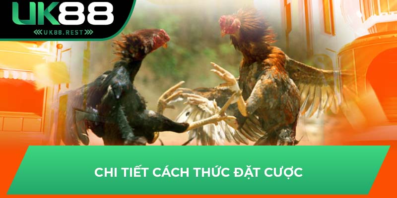 Bí Quyết Thắng Lớn Đá Gà Cựa Sắt Trực Tuyến Tại Uk88 3 Chi tiết cách thức đặt cược