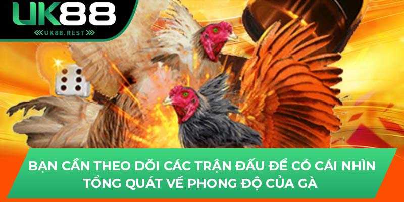 Bật Mí Kinh Nghiệm Chơi Đá Gà Cựa Sắt Thomo Tại Uk88 4 Bạn cần theo dõi các trận đấu để có cái nhìn tổng quát về phong độ của gà