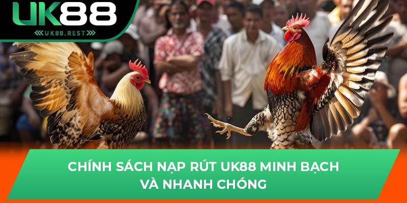 Đá Gà Thomo - Tựa Game Hấp Dẫn Nhất Tại Nhà Cái UK88 4 Chính sách nạp rút UK88 minh bạch và nhanh chóng