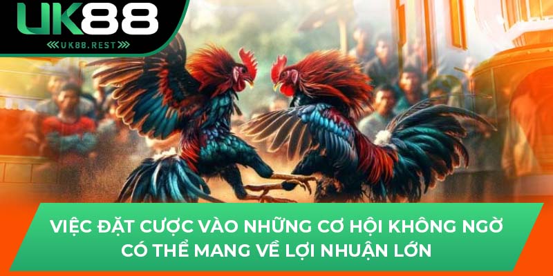 Hướng Dẫn Tham Gia Trường Gà Savan Uy Tín Trên Uk88 3 Việc đặt cược vào những cơ hội không ngờ có thể mang về lợi nhuận lớn